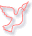dove